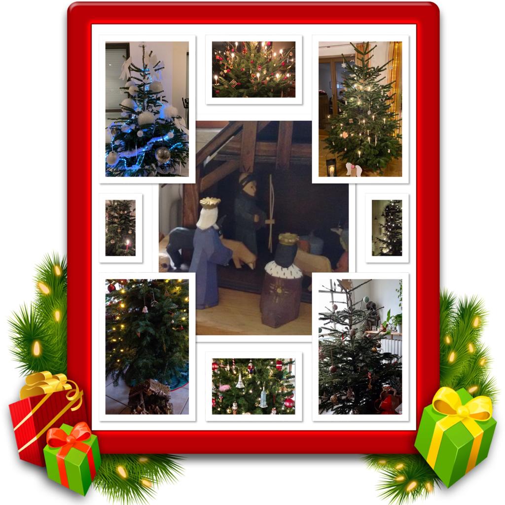Bbrth sapins