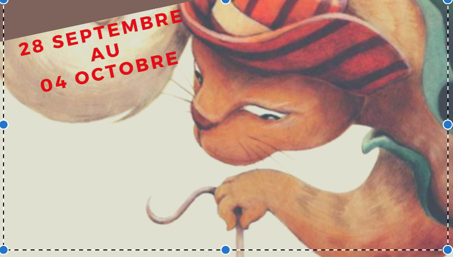 chat-botte